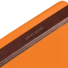 Cooler Box Set & Field Bottle / Orchard Orange