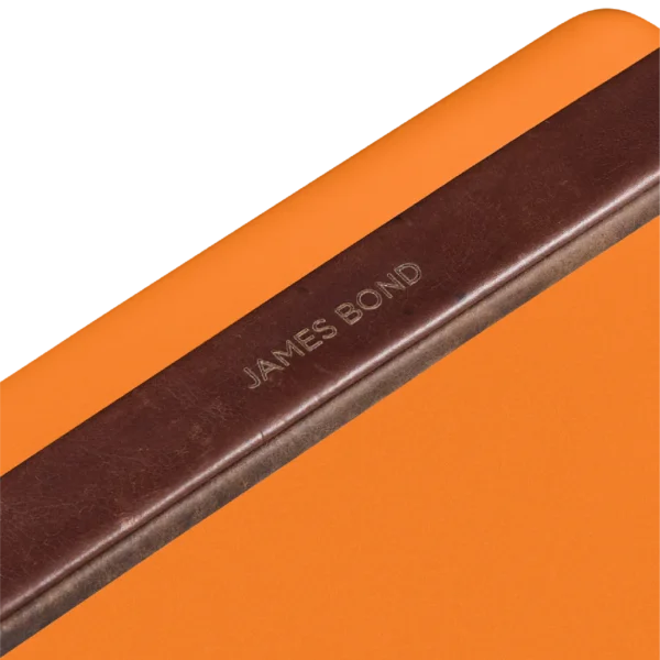 Cooler Box Set & Field Bottle / Orchard Orange