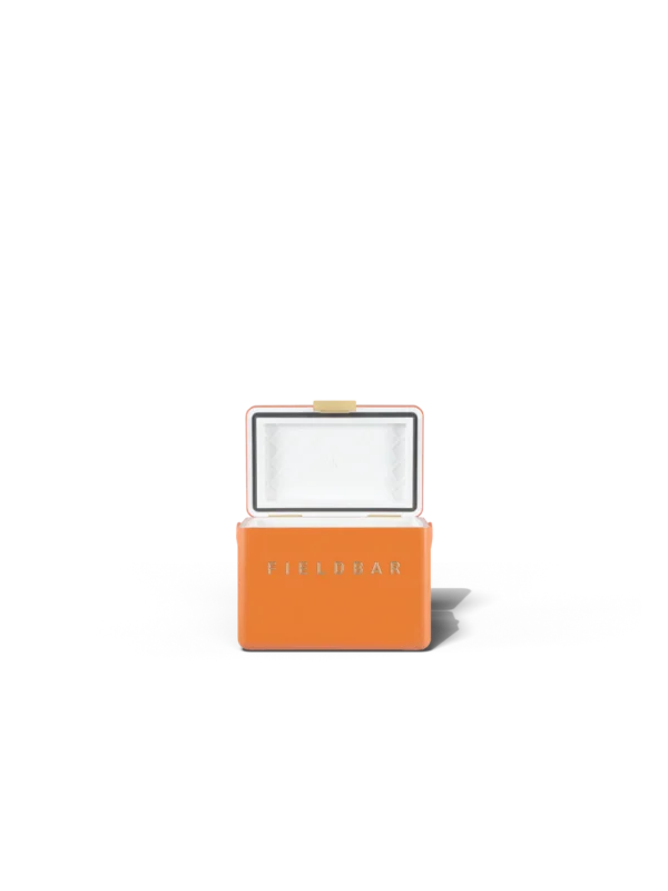 OO02-FrontOpen1200x1600.webp Mini Bar / Orchard Orange