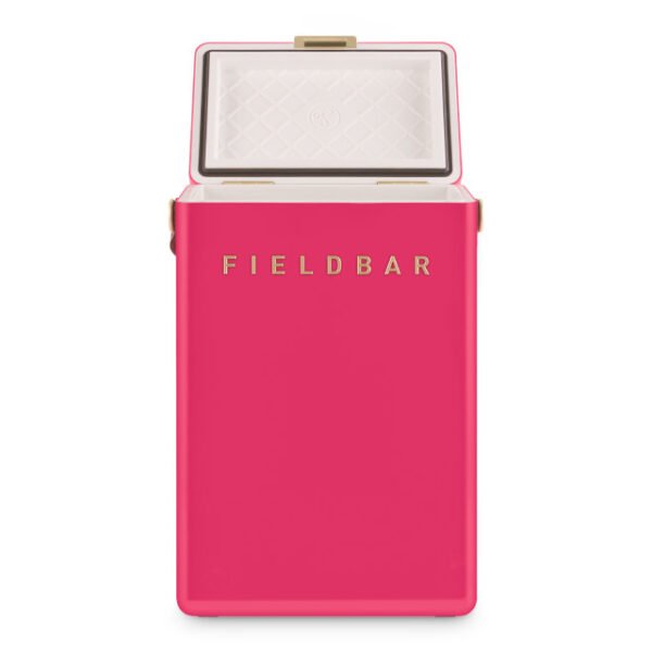 hcfb1p213cm15 Fieldbar Limited Edition Yuppiechef Pink Drinks Cooler Box, 10L