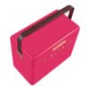 hcfb2p213cm16 Fieldbar Limited Edition Yuppiechef Pink Gin Trunk, 24L