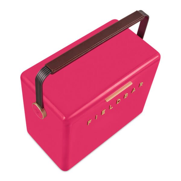 hcfb2p213cm16 Fieldbar Limited Edition Yuppiechef Pink Gin Trunk, 24L