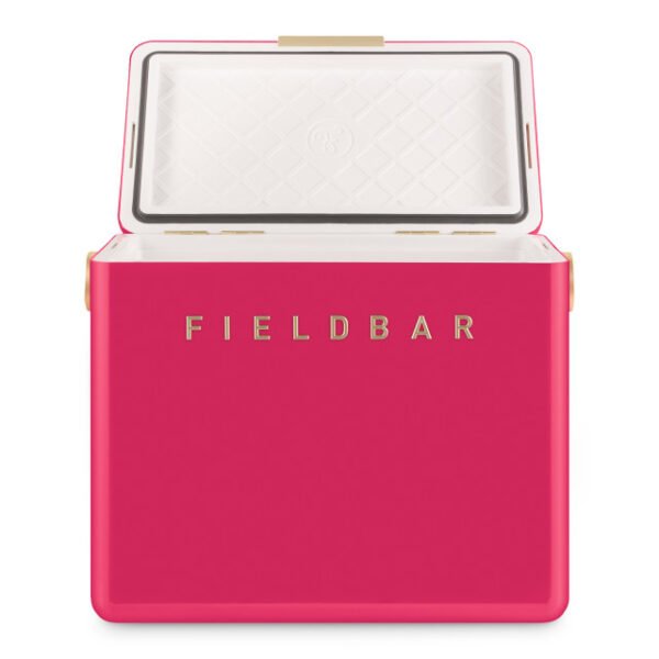 hcfb2p213cm18 Fieldbar Limited Edition Yuppiechef Pink Gin Trunk, 24L