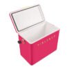 hcfb2p213cm19 Fieldbar Limited Edition Yuppiechef Pink Gin Trunk, 24L
