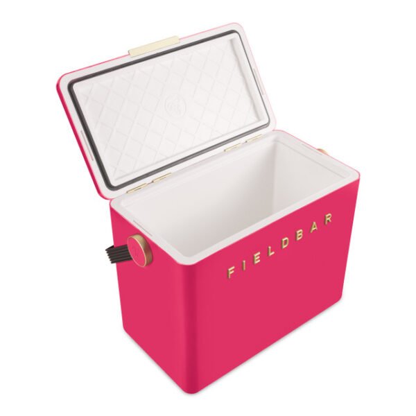 hcfb2p213cm19 Fieldbar Limited Edition Yuppiechef Pink Gin Trunk, 24L