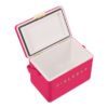 Fieldbar Limited Edition Yuppiechef Pink Mini Bar, 4L